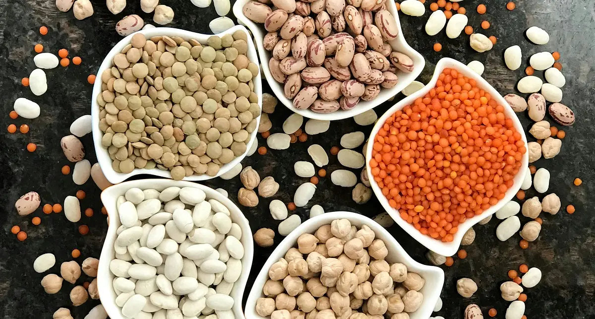 les protéines végétales pour maigrir